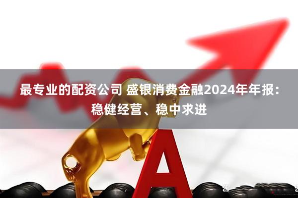 最专业的配资公司 盛银消费金融2024年年报：稳健经营、稳中求进